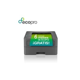 ÷ Brother impresora laser monocromo hll2400dwe